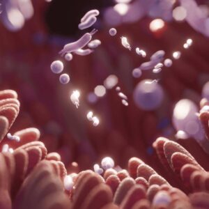 Microbiome intestine factories and microbiota. Gut health
